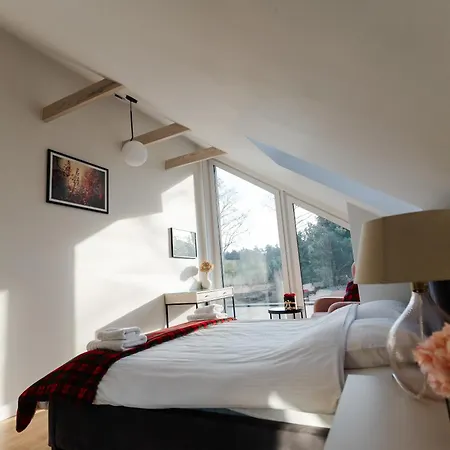 Flora & Sauna Kamienczyk Konwaliowa 8 Kamienczyk (Wyszkow)