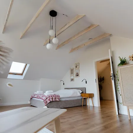 Flora & Sauna Kamienczyk Konwaliowa 8 * Kamienczyk (Wyszkow)