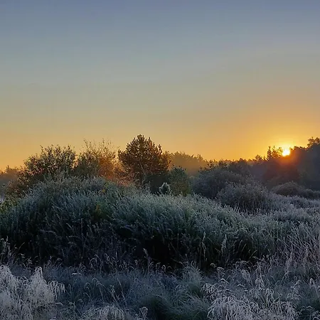 Flora & Sauna Kamienczyk Konwaliowa 8